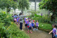 Herbal World K2-68