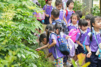 Herbal World K2-68