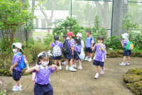 Herbal World K2-68