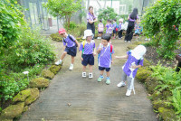 Herbal World K2-68