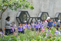 Herbal World K2-68