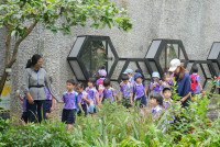 Herbal World K2-68