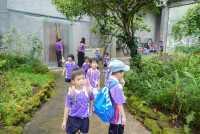 Herbal World K2-68