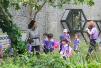 Herbal World K2-68