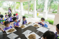 Herbal World K2-68