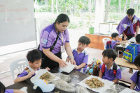 Herbal World K2-68