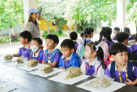 Herbal World K2-68