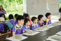 Herbal World K2-68