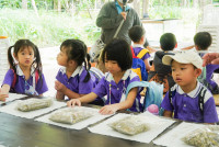 Herbal World K2-68