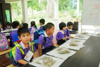 Herbal World K2-68