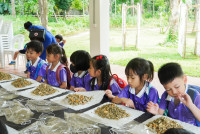 Herbal World K2-68