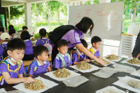 Herbal World K2-68