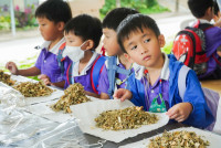 Herbal World K2-68