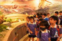 Herbal World K2-68