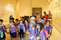 Herbal World K2-68