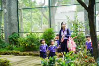 Herbal World K2-68