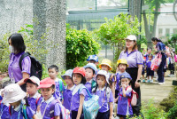 Herbal World K2-68