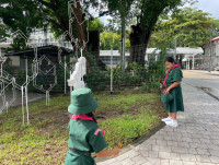 Day Camp Day Night ป.4/2568