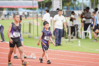 การแข่งขันกรีฑาชิงชนะเลิศแห่งจังหวัดเชียงใหม่ ปีการศึกษา 2568