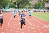การแข่งขันกรีฑาชิงชนะเลิศแห่งจังหวัดเชียงใหม่ ปีการศึกษา 2568