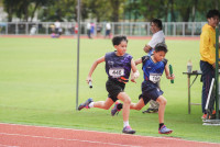 การแข่งขันกรีฑาชิงชนะเลิศแห่งจังหวัดเชียงใหม่ ปีการศึกษา 2568