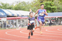 การแข่งขันกรีฑาชิงชนะเลิศแห่งจังหวัดเชียงใหม่ ปีการศึกษา 2568
