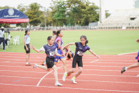 การแข่งขันกรีฑาชิงชนะเลิศแห่งจังหวัดเชียงใหม่ ปีการศึกษา 2568