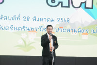 Amazing Thailand 2025