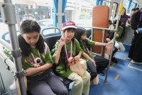 Amazing Thailand 2025