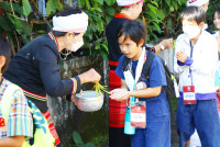 Lanna Design ป.3/2568