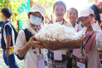 Lanna Design ป.3/2568