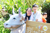 Lanna Design ป.3/2568