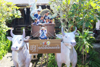 Lanna Design ป.3/2568