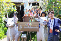 Lanna Design ป.3/2568