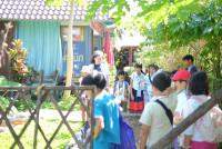 Lanna Design ป.3/2568