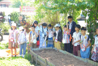 Lanna Design ป.3/2568