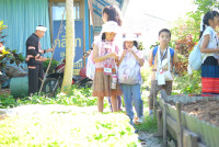 Lanna Design ป.3/2568