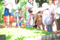 Lanna Design ป.3/2568