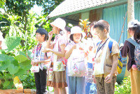 Lanna Design ป.3/2568