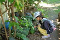 Lanna Design ป.3/2568