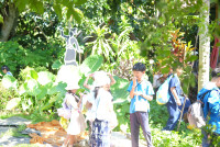 Lanna Design ป.3/2568