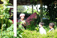 Lanna Design ป.3/2568