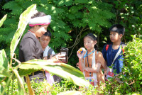 Lanna Design ป.3/2568