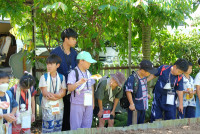 Lanna Design ป.3/2568