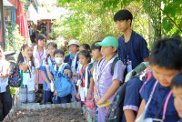 Lanna Design ป.3/2568