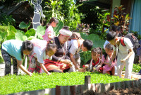 Lanna Design ป.3/2568