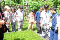 Lanna Design ป.3/2568