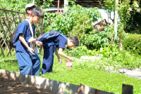 Lanna Design ป.3/2568