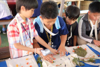 Lanna Design ป.3/2568