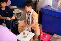 Lanna Design ป.3/2568